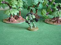 40k Space Marine Apothecary